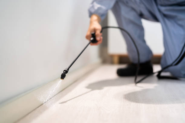 Licensed Cockroach Control service in Saranac, MI - Nex Pest Control