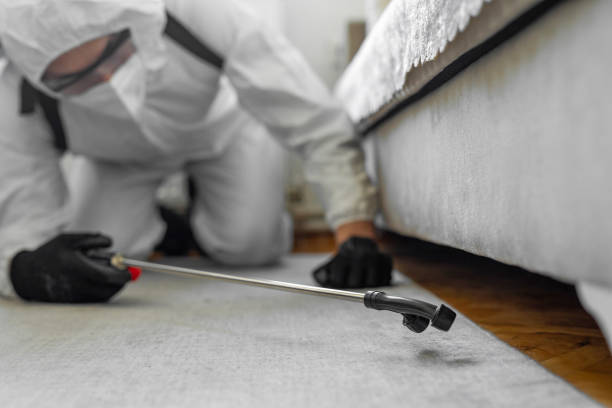 Professional Cockroach Control technician working in Saranac, MI