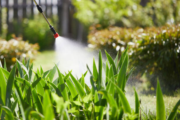 24/7 Emergency Cockroach Control experts in Saranac, MI
